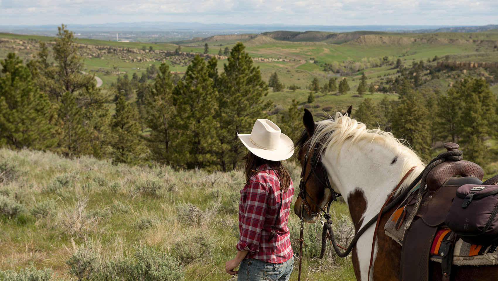 cowgirl with  horse and vista