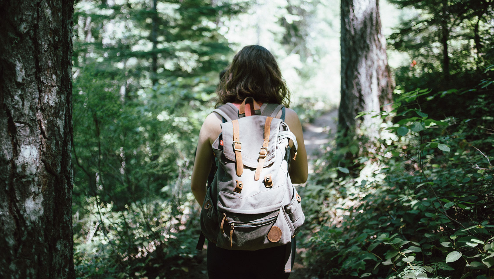 Hiker in Woods