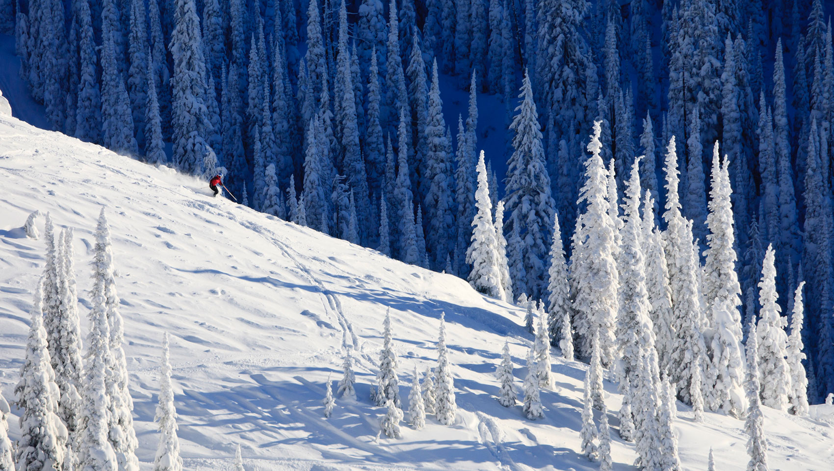 person skiing on the mountains