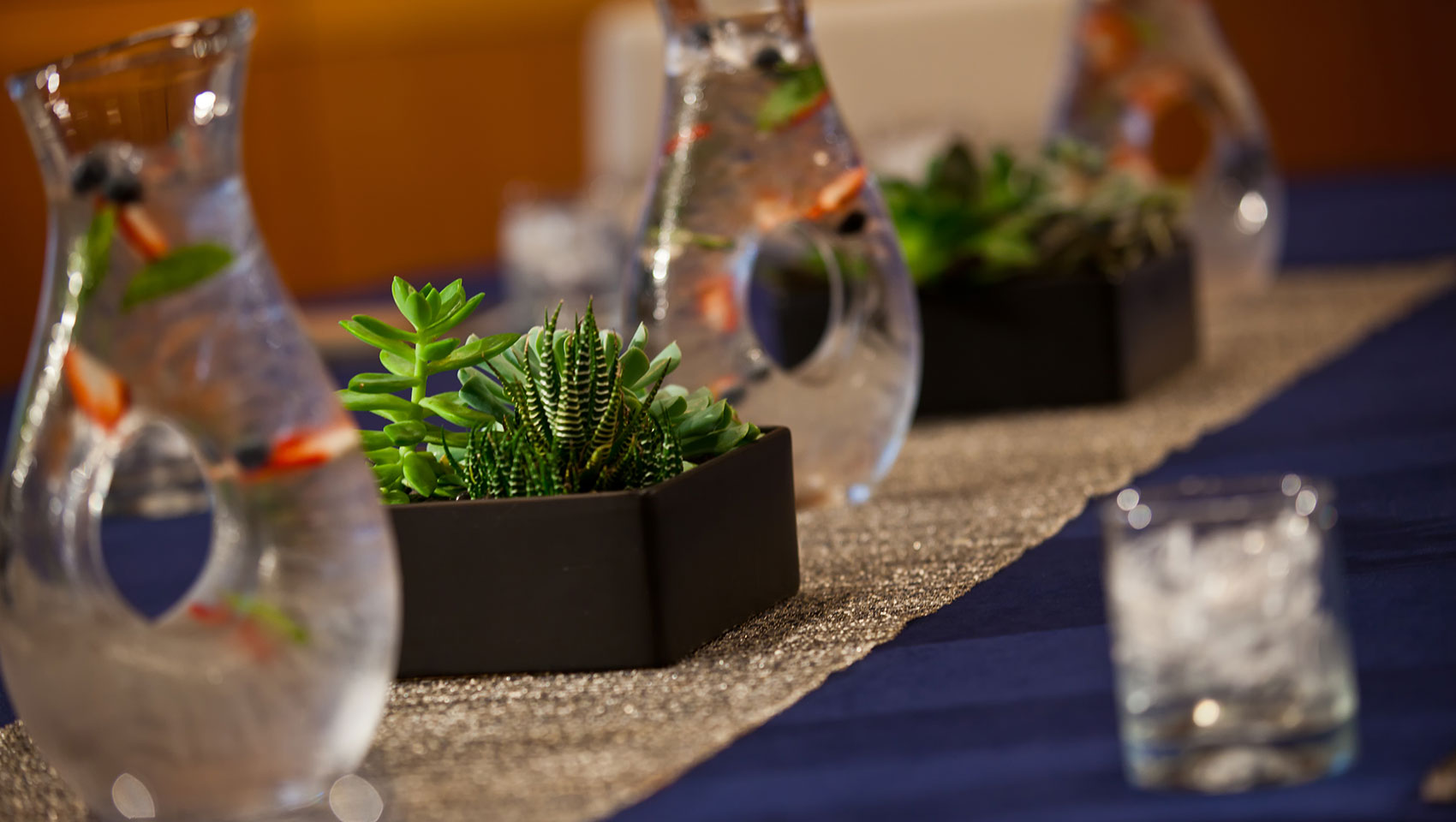 succulents on a meeting room table with water pitcher