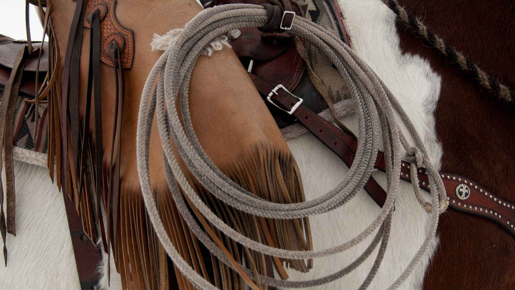 Rope & saddle
