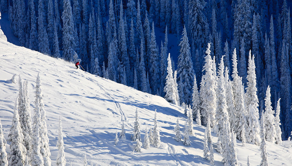 skiier on a snowy mountain