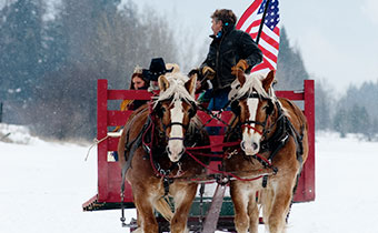 a group of horses pulling a sleigh in the snow with an american flag