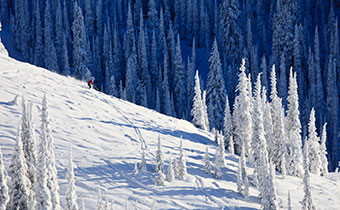 Skier on mountain